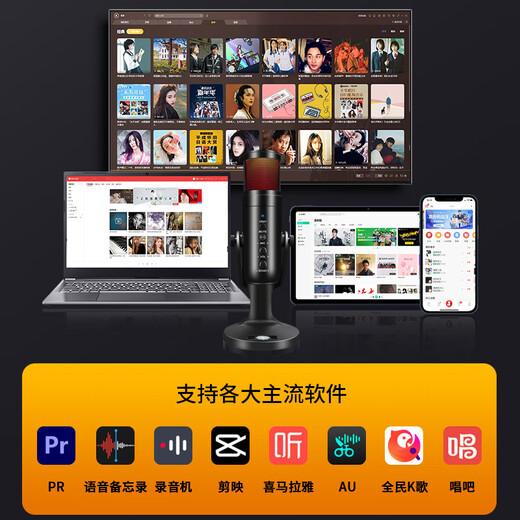 Onedy Core Upgrade Audiobook Special Recording Equipment Professional Set Himalayan Dubbing Microphone Online Class Game Live Broadcast Noise Canceling Microphone USB Computer Mobile Universal Colorful Upgraded Version - Charge and Use Set Professional Recording - Noise Reduction Card