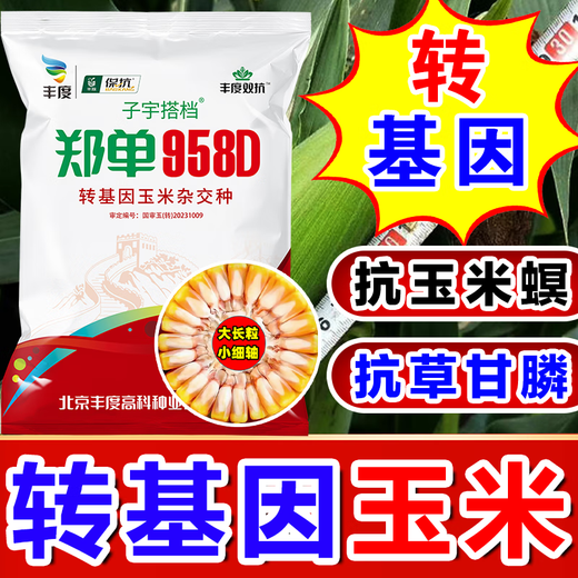 Strong Man Genetically Modified Corn Seeds Resistant to Corn Borer, Double Cobs, Low Stems, Lodging Resistant, Disease Resistant, Hard Large Cobs, Corn Seeds, Genetically Modified Super Resistant, 4300 capsules