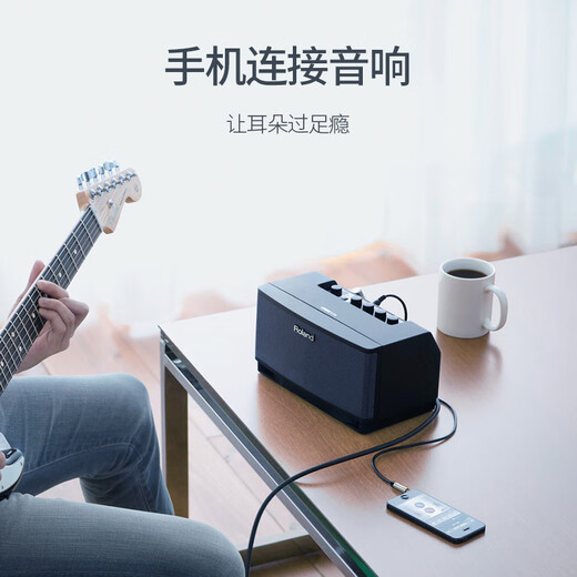 绿联3.5mm转双6.5mm一分二音频线 6.35大二芯立体声转接线手机笔记本电脑调音台音响箱连接线1米 40790