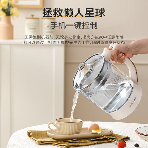 Royalstar Health Kettle Kettle Tea Maker Electric Kettle 2L Pure Titanium Heating Plate Anti-odor Constant Temperature Glass Flower Tea Kettle Electric Kettle NFC Bluetooth Control YSH2002T