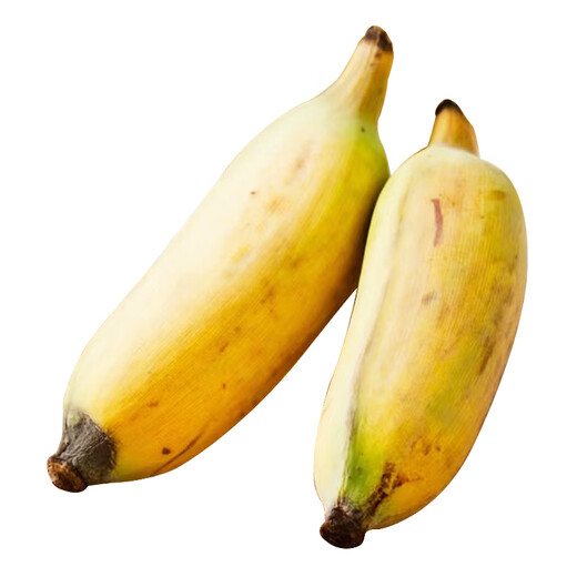 Ceheng glutinous rice banana (ugly banana) harvested directly from the origin 500g