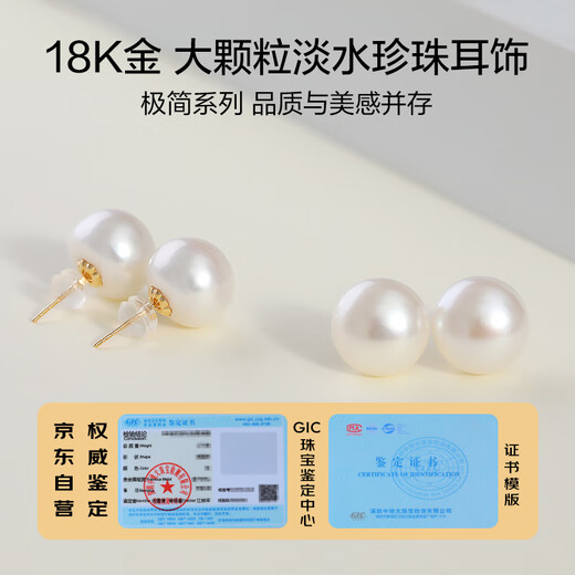 Demi 18K gold large seedless freshwater pearl earrings 10-11mm steamed bun round birthday gift for wife and girlfriend
