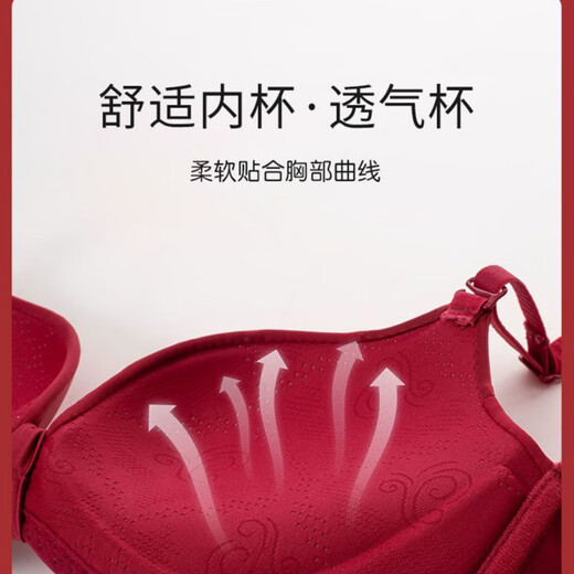 Maohuo Thin Year of the Horse Underwear Without Wires Push-Up Small Breasts Wedding Year of the Year Red Bra Set Valentine's Day Gift for Women Red Gift Box 75B =34B