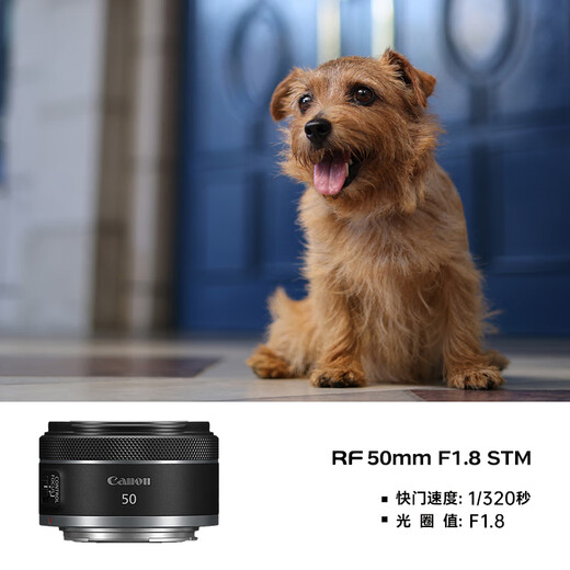 Canon small spittoon rf50f1.8 Canon r50 small spittoon portrait lens rf28f2.8 stm portrait biscuit head special micro full frame standard fixed focus lens RF 50mm F1.8 STM package one
