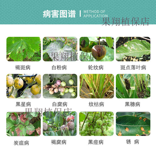 40% benzopyrazole, fruit tree grape leaf spot, anthracnose, powdery mildew, rust, vine blight, pesticide and fungicide 500g (2 bottles)