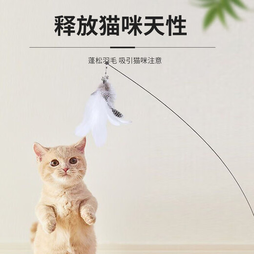 Forest Bird Cat Toy Cat Teasing Stick for Lazy People Automatic Cat Teasing with Bell Feather Suction Cup Cat Self-Happiness and Relief from Boredom White Set Upgraded Powerful Suction Cup