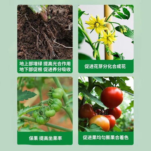 Sodium nitrate and amine fresh ester complex sodium nitrate and amine fresh fat plant growth regulator pesticide high efficiency universal harvest 500g