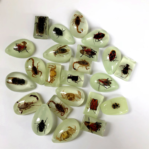 DR-FLVVS Fat Donglai quality insect amber specimen pendant made of blind box resin glue ornaments for primary school students and children's textbook teaching a transparent scorpion