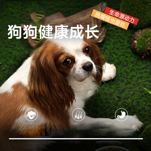 McFoodie Dog Food Nutritional Forest Small, Medium and Large Dog General Dog Food General Puppy 2.5kg