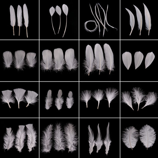 Haofanjie Feather White Decoration Props Ornaments Children's Handmade DIY Material Colorful Feather Pointed Down Imitation Goose Feather Pointed Down Down Approximately 8-15cm Long 50 Pieces