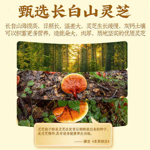 南京同仁堂南京同仁堂灵芝孢子粉破壁灵芝孢子粉孢子粉灵芝粉林芝破壁孢子粉 蓝帽认证 高含量【30袋*1盒】