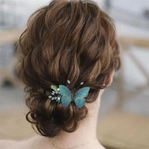 Tang Funi Hairpin Women's Back Head Horizontal Clip Embroidered Butterfly Hair Accessory Elegant Adult Hairpin Clip Half-tied Hairdress Top Clip Blue