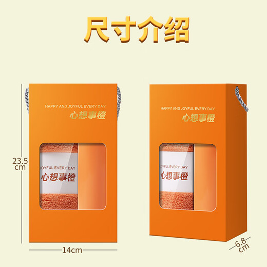 贵盛毕业季送学生老师礼品定制伴手礼纪念品礼盒喜事回礼答谢宴社区活动开业公司送员工团建礼物批发 珊瑚毛巾+运动水杯-只此青绿