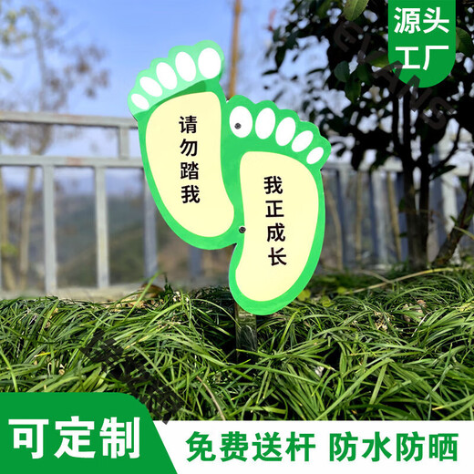 Ground type tree brand school park stainless steel plant greening information sign tree introduction sign care imitation CDSP-10 (surface covered with crystal + pole) 50x70cm