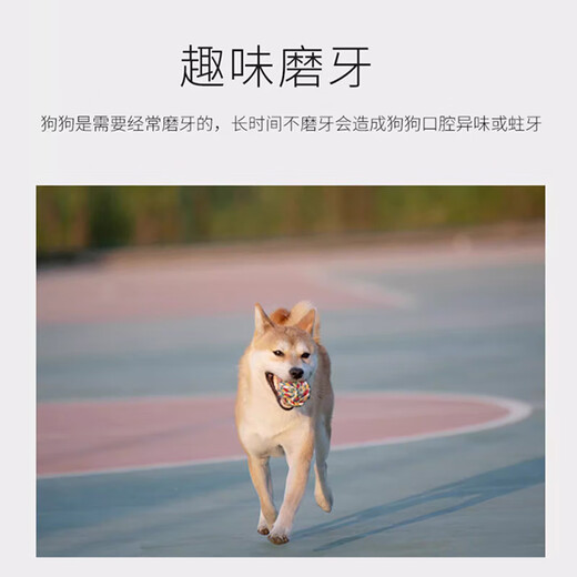 Gasgoo dog toy puppy rope bite-resistant molar rope ball puppy Teddy Border Collie Golden Retriever interactive tug-of-war 5-piece set