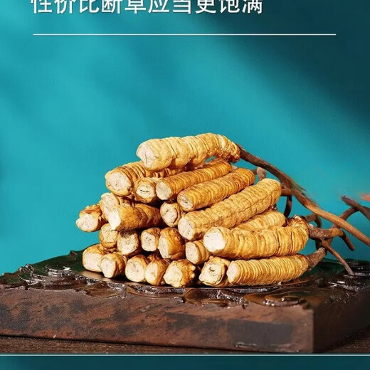 Cordyceps sinensis Áreas tibetanas Cordyceps sinensis La hierba rota es más asequible para comer a los corredes secos nutritivos nutridos de masa seca en vino y hacer polvo para hacer sopa. 5 gramos de Big Cordyceps sinensis dan crisantemos
