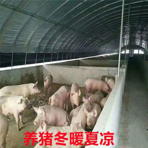 Qinkai black and white film sun protection insulation film thickened anti-aging breeding greenhouse film black and white film boutique 20S longevity black and white film thickened (durable 7 years) 6 meters wide and 10 meters long