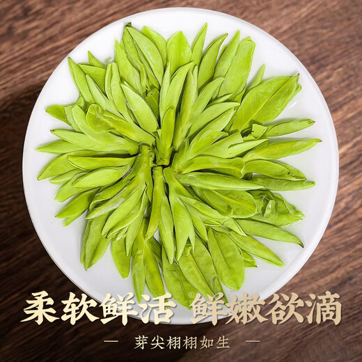 Shifangyi 2024 New Tea Longjing Tea Premium Mingqian Tea Green Tea 250g Gift Box 250g