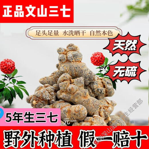 Yunnan Wenshan Spring Panax notoginseng whole wild Panax notoginseng wholesale price unwaxed Panax notoginseng heads soaked in water agricultural products 250g (15 pieces)