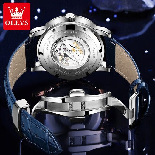 Oleis levs Schweizer zertifizierte Brand Watch Herren Mechanical Watch Luminous Waterfof Star-Serie Herren Uhren High-End-Herren-Uhr Olevs-9923-Natural Starry Sky Blue Surface
