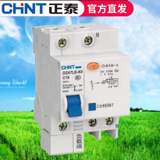Chint (CHNT) small leakage circuit breaker DZ47LE-32 air switch with leakage protector leakage protection 6 100 100A 3P
