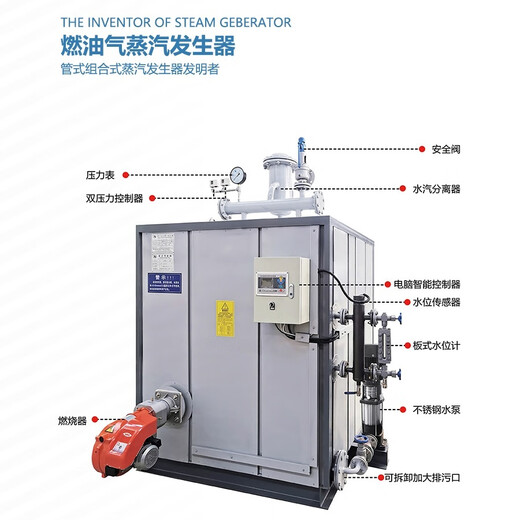 Xinyu Guo vertical LHG0.5-0.09-SCI biomass steam generator 1T fuel gas steam generator biomass boiler brand blue LHG0.7-0.09-SCI 2