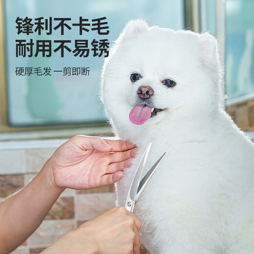 QiOh pet scissors, special grooming scissors for dog hair trimming, professional set of curved scissors, Teddy dog hair scissors, all steel, 7-inch straight cut