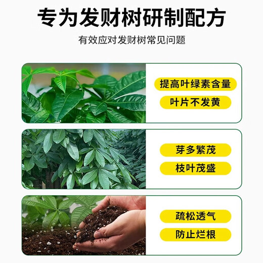Spezialerde für Geldbäume, nährstoffreiche Erde, Blumenerde, Geldbaumdünger, spezielle Düngererde, Pflanzerde für grüne Topfpflanzen im Haushalt, Spezialerde für Geldbäume, 20 Jin, Jin entspricht 0,5 Kilogramm