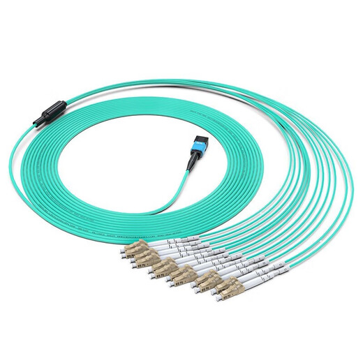 胜为光纤跳线MPO-LC12芯 30米 网线多模OM4万兆40G光模块集束光纤 MPO-LC/12芯  胜为 光纤跳线 MPO-LC MPO-LC/12芯 3米 FMPL-1203