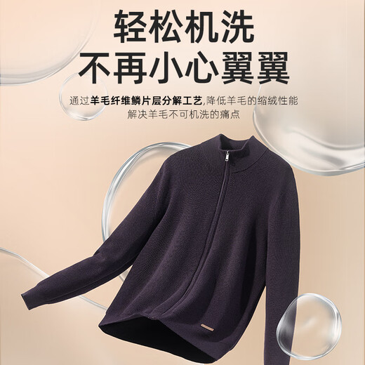 YOUNGOR Sweater Men's Autumn and Winter Young Men's Sweater Zipper Cardigan Cardigan Wool Blended Fabric 2 Colors Dark Gray VWHW619967CLA S 95c