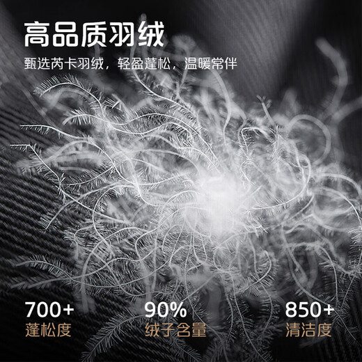 Ailai Down Jacket Women's Puff Feel Soft and Waxy Long Goose Down Hooded Korean Style Women's Jacket Winter Honey Tea Brown 155