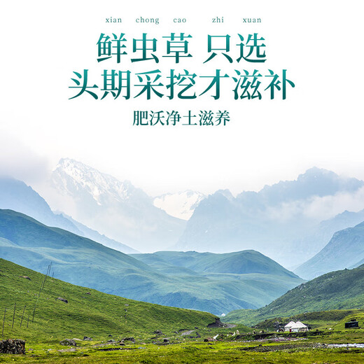 
Fudonghai Cordyceps gift box [Excellent quality whole piece] Select high-altitude freeze-dried high-clean and unbroken grass to give gifts. 10 fresh Cordyceps (freshly harvested and cold chain shipped)