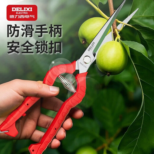 Delixi scissors, fruit shears, gardening pruning shears, fruit and vegetable shears, pepper picking, fruit and vegetable picking tools, fruit branch scissors, Delixi 905 straight head fruit shears (205mm)