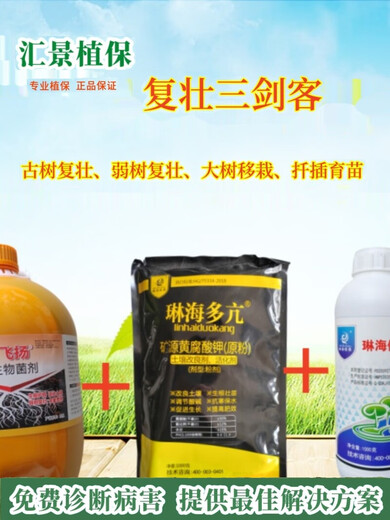 Linhai's flying roots, strong old trees, weak trees, rejuvenation, treatment of dead trees, germination, root packaging, diseased tree resurrection liquid, pink