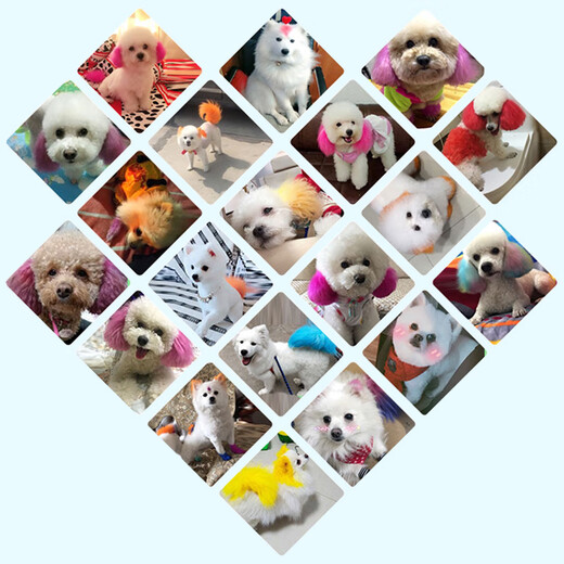 Juchuangqi dog grooming special hair dye pet hair dye cream white Bichon Pomeranian Teddy cat dyeing light green 60g