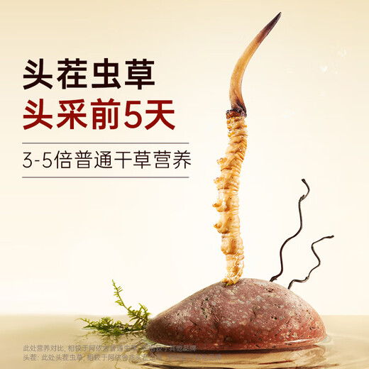 阿依舍冬虫夏草滋补送礼 断虫草 送父母送长辈实惠家庭滋补自用囤货礼盒 大号全虫 纯肉节100克【全家高品质滋补】