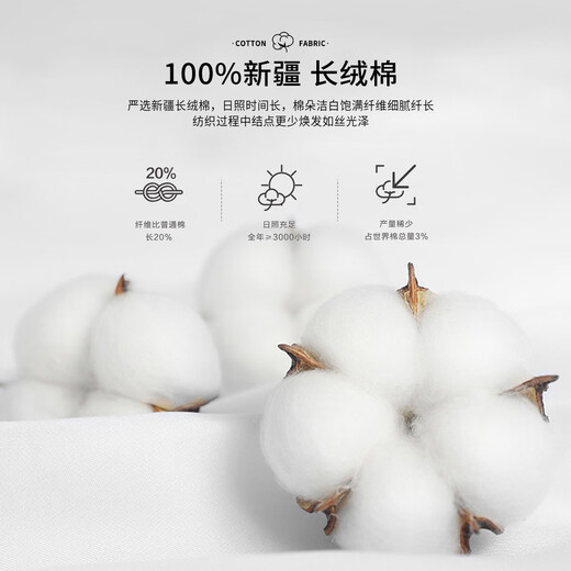 Shanshan pure cotton suede placket long-sleeved T-shirt men's spring and autumn business casual commuting POLO lapel skin-friendly men's clothing