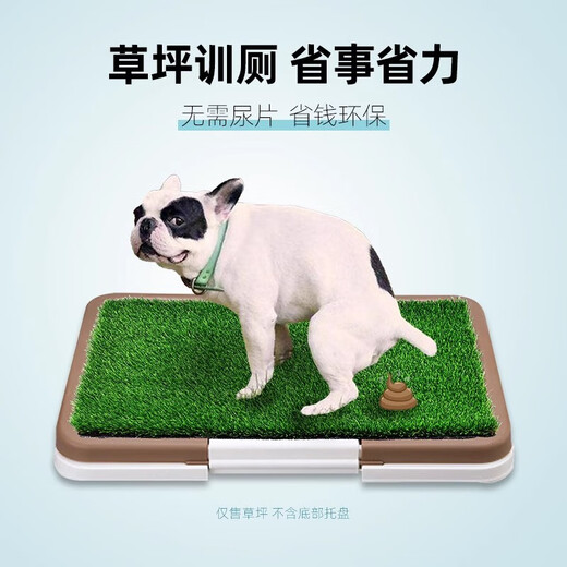 Qingya pet lawn toilet special fake turf household balcony simulation bedding dog pee artificial carpet floor mat 4cm special thick new upgraded green bottom 1 meter wide 1 meter long