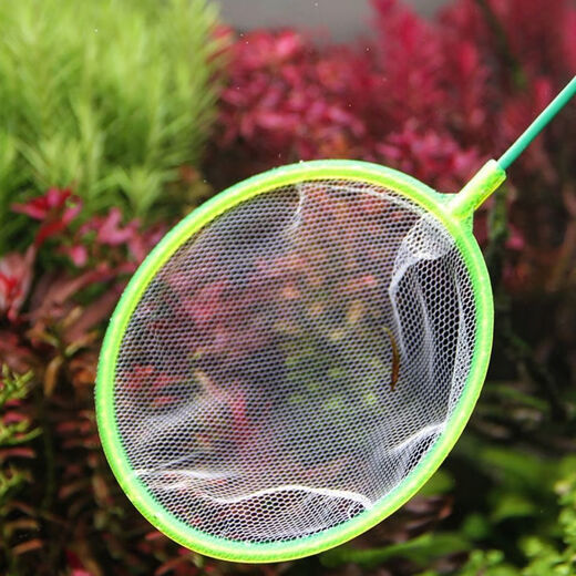 Jingdong Logistics Fish Tank Fishing Net Fishing Fish and Shrimp Fishing Dense Net Handmade Net Household Telescopic Fishing Net Fishing Net 0.3m 7cm Multifunctional Fishing Net 1 Pack