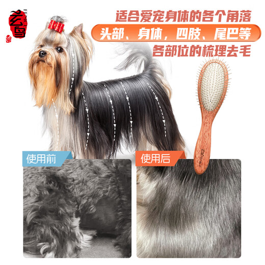 Black Bird pet handle comb cat and dog grooming brush special comb hair protection artifact massage air cushion needle comb cat comb small small/puppy dog