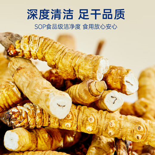 紫蓝花海冬虫夏草 全虫断草20g (36-40根)断虫草自用实惠【健康礼盒】