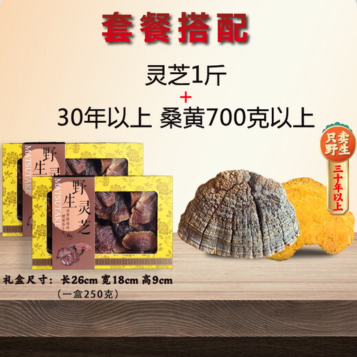 一重山纯嘢生灵芝西藏干货林芝赤芝金边非孢子粉片礼盒装整枝500g克 灵芝1斤+30年以上桑黄700克以上