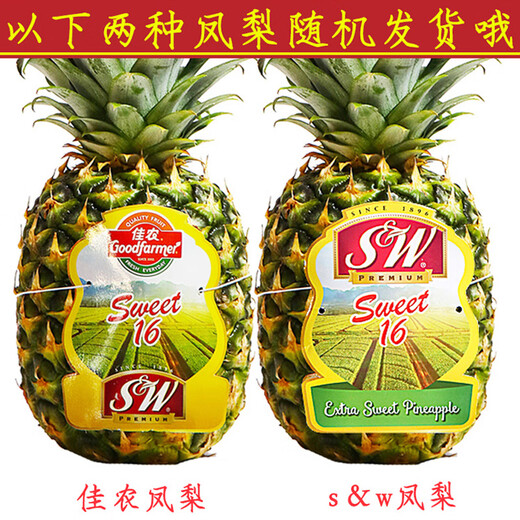 佳农凤梨水果新鲜2个果削皮即食sw菲律宾进口凤梨新鲜水果顺丰 【中大果】单颗约1050g*2颗