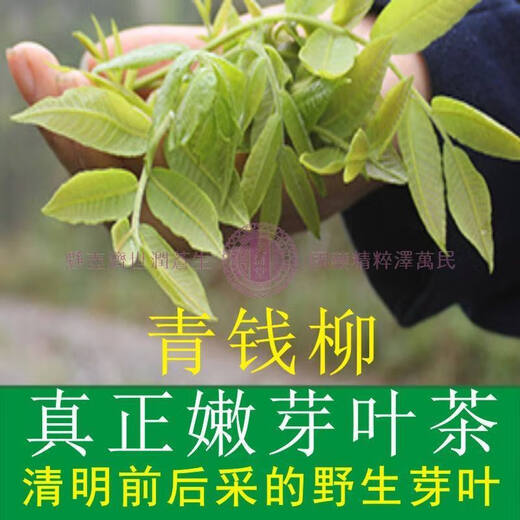 青钱柳批发修水金钱柳张家界青钱柳湖南城步茶 青钱柳原叶250克(半斤)