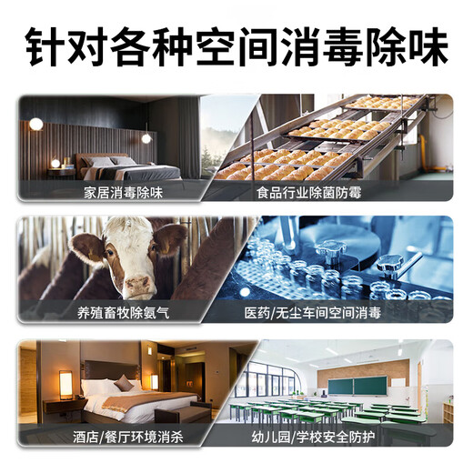 EVANLEY German ozone generator sterilizer household air purifier industrial food factory car sterilization and formaldehyde removal 20g/h (120 square meters)