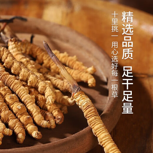 
Selected authentic snow mountain cordyceps sinensis genuine first-stage fresh cordyceps 50g gift box for 4 pieces/gram dry goods Tibet Nagqu Cordyceps 50 pieces gift box for 2 pieces/gram
