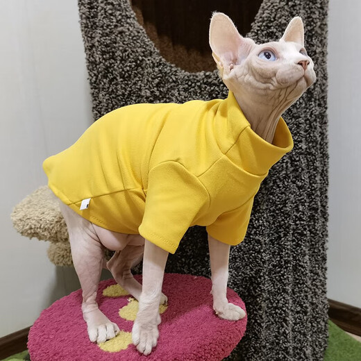 Lanxu hairless cat sweater autumn and winter warm cat clothes Sphynx German clothes thickened plus velvet non-stick hair four-legged two-legged clothes German velvet yellow XL-extra large