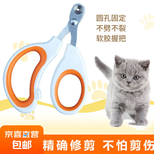 Nail scissors for pet cats, small blind scissors, cat nail scissors, pet nail clippers, nail clippers, claw scissors, pet scissors - white and red - 1 piece
