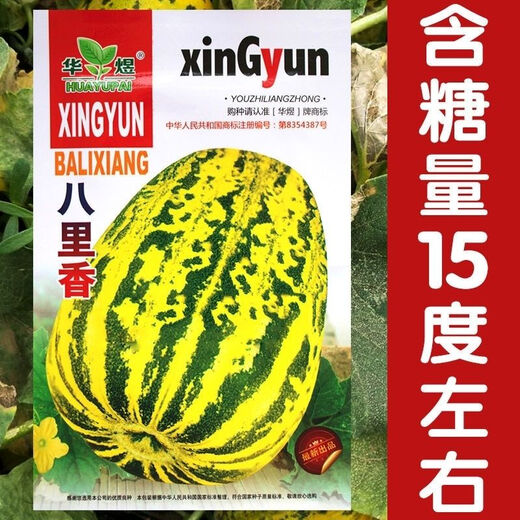 Balixiang fragrant melon seeds, a complete collection of seeds from the south and the north, special sweet melons, early maturing, high yield and sweet all year round. Balixiang seeds/pack, about 100 pieces, 3 packs