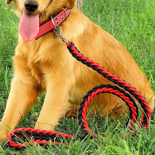 PPO large dog chain big dog leash with dog leash dog collar Alaskan German Shepherd Golden Retriever dog leash leash + snap collar red and black S size 8-15Jin Jin equals 0.5 kg Use